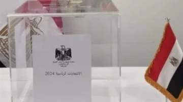 الرقم القومي.. طريقة سهلة لمعرفة مقر لجنتك الانتخابية في 2025 عبر الهيئة الوطنية للانتخابات